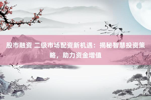 股市融资 二级市场配资新机遇：揭秘智慧投资策略，助力资金增值