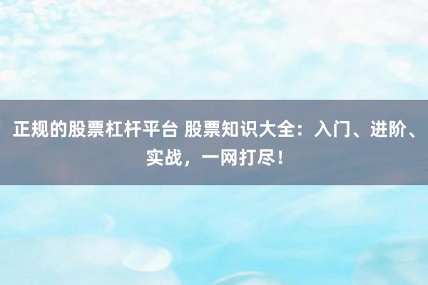 正规的股票杠杆平台 股票知识大全：入门、进阶、实战，一网打尽！