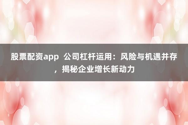 股票配资app  公司杠杆运用：风险与机遇并存，揭秘企业增长新动力