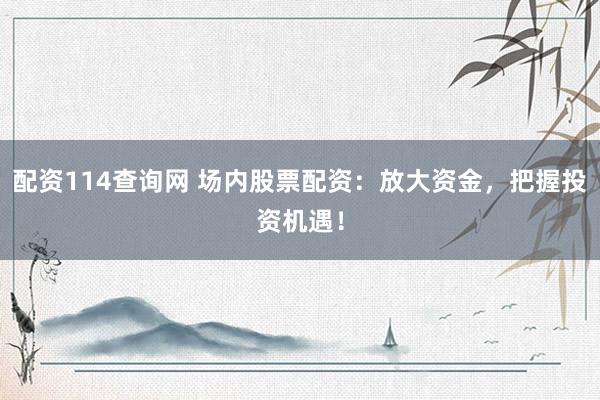 配资114查询网 场内股票配资：放大资金，把握投资机遇！