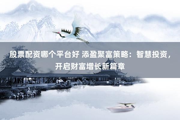 股票配资哪个平台好 添盈聚富策略：智慧投资，开启财富增长新篇章