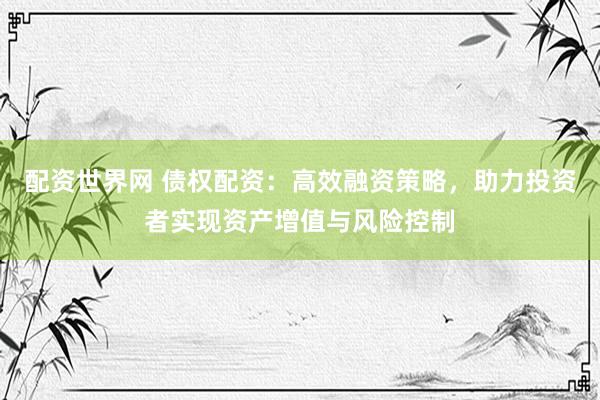 配资世界网 债权配资：高效融资策略，助力投资者实现资产增值与风险控制