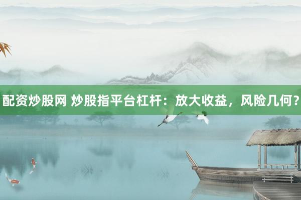 配资炒股网 炒股指平台杠杆：放大收益，风险几何？