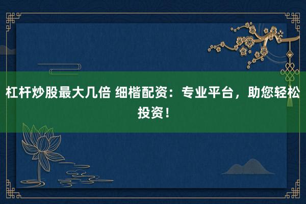 杠杆炒股最大几倍 细楷配资：专业平台，助您轻松投资！