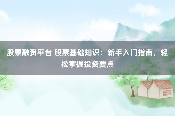股票融资平台 股票基础知识：新手入门指南，轻松掌握投资要点
