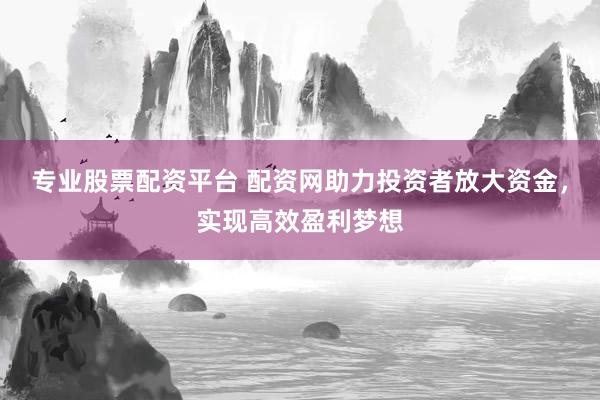 专业股票配资平台 配资网助力投资者放大资金，实现高效盈利梦想