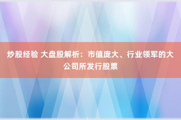 炒股经验 大盘股解析:市值庞大、行业领军的大公司所发行股票