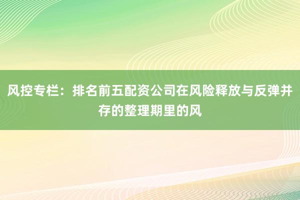 风控专栏：排名前五配资公司在风险释放与反弹并存的整理期里的风