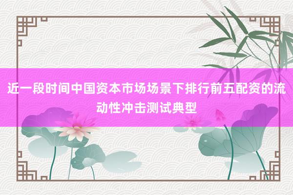 近一段时间中国资本市场场景下排行前五配资的流动性冲击测试典型
